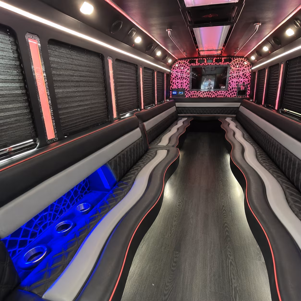 birthday party bus rental